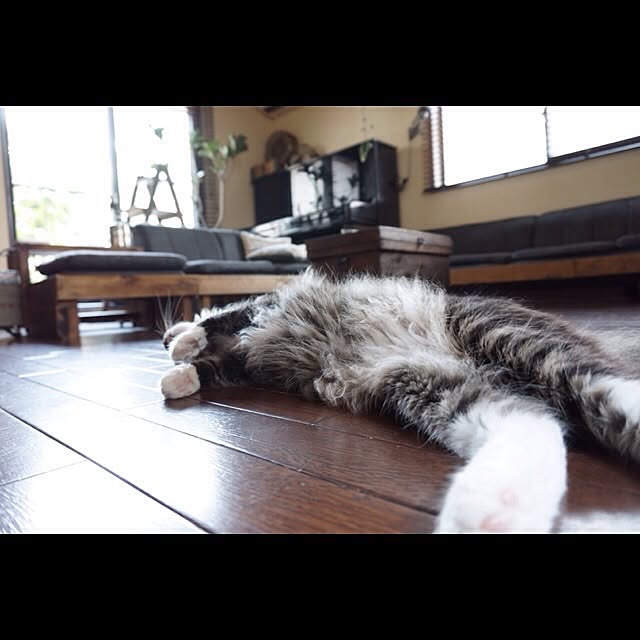 jnkaiさんの実例写真