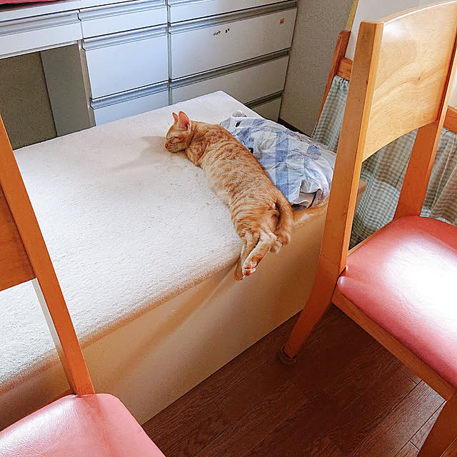 kikiさんの実例写真