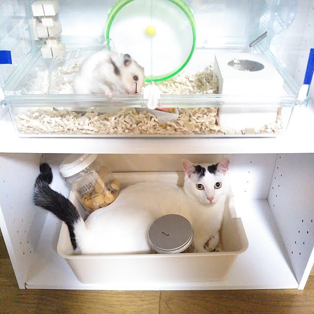 yukieさんの実例写真