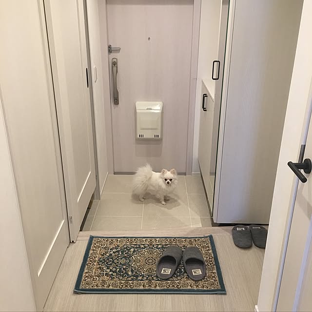 ayakoさんの実例写真