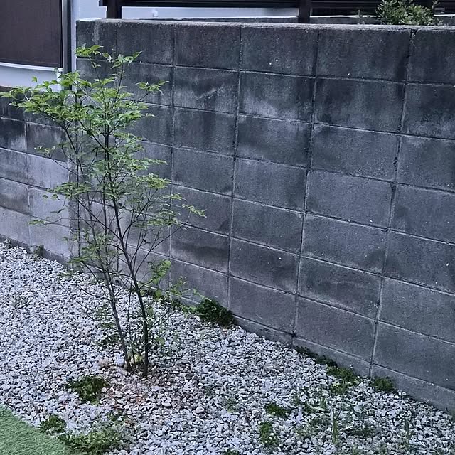 ymmtさんの部屋