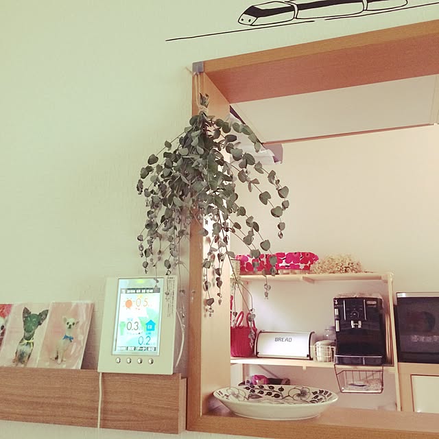 Nozomiさんの実例写真