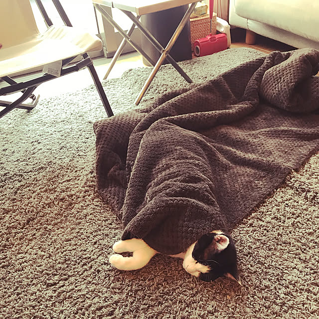 noraさんの実例写真