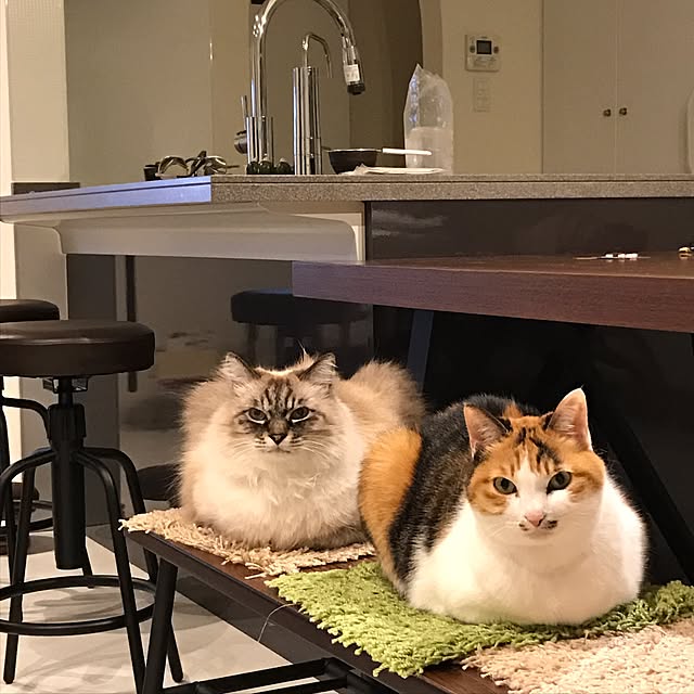 実例写真