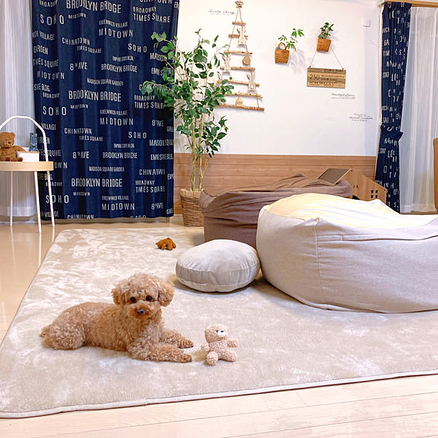 e.and.m.mamaさんの実例写真