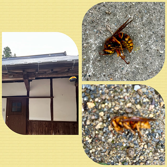 cotaさんの部屋