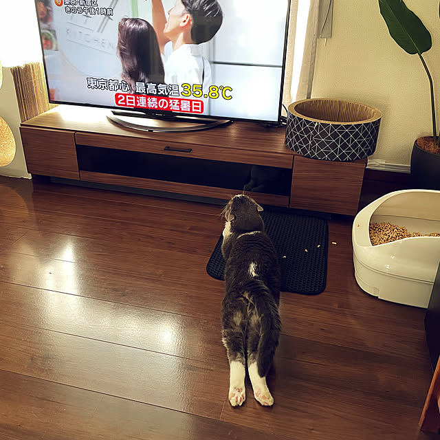 tansukeさんの実例写真