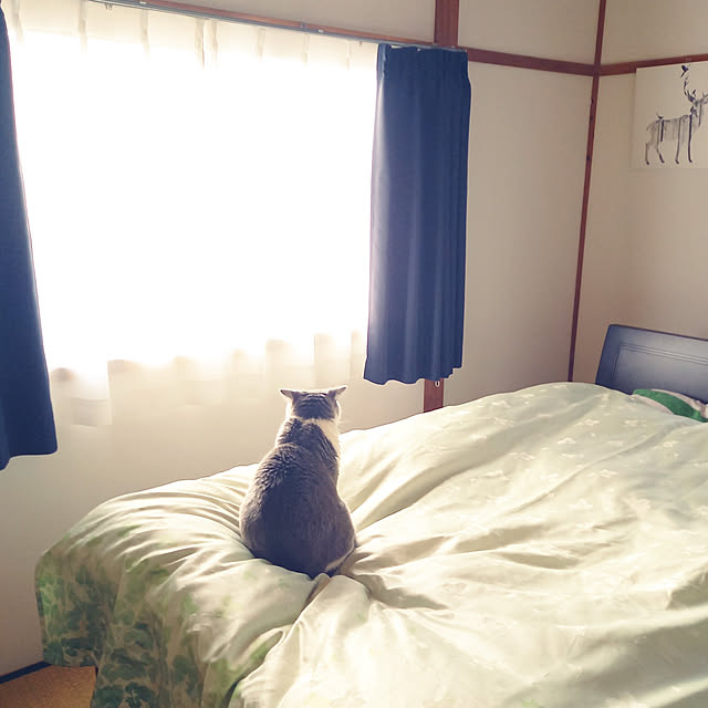 rhuさんの実例写真