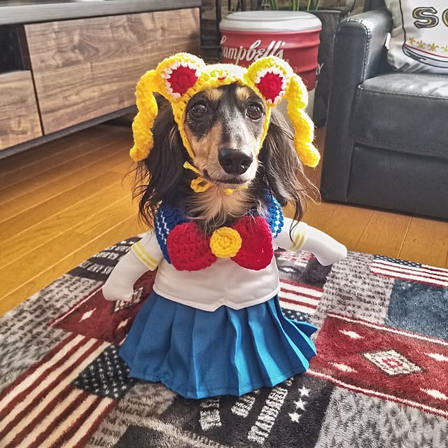 momozouさんの実例写真