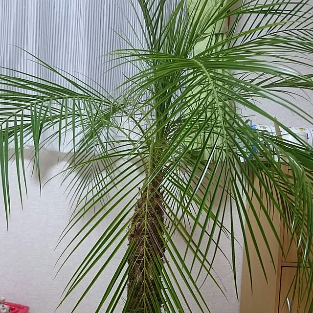 hideさんの実例写真