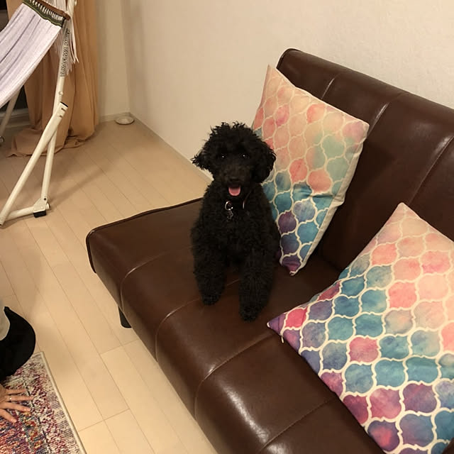 Uleyishさんの部屋