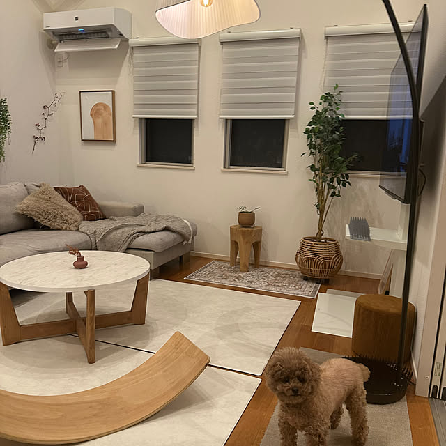 Tarutoさんの部屋