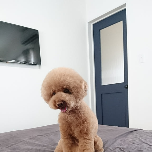 reiさんの実例写真