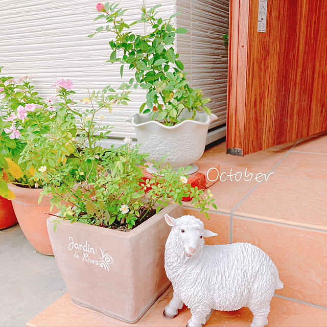 kinaさんの実例写真