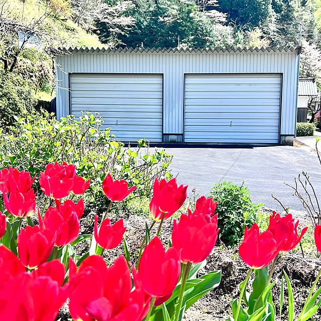 mamyuさんの実例写真