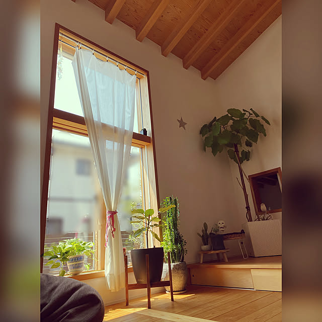 Momokoさんの実例写真