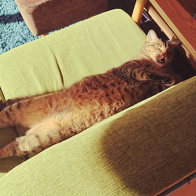 Kenさんの実例写真