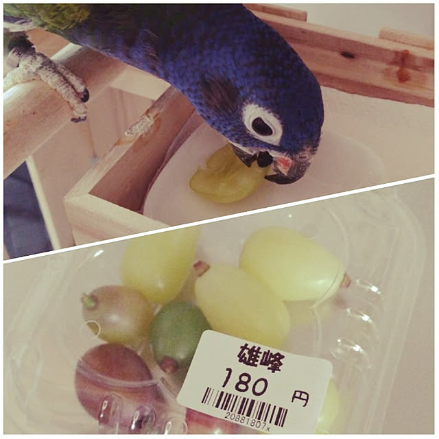 bonoさんの実例写真