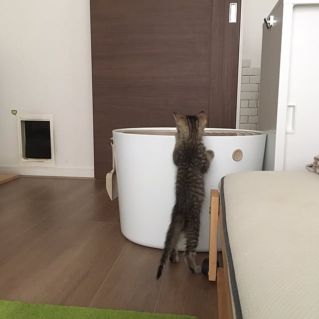 mikomaruさんの実例写真