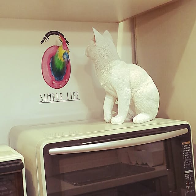naive.coccoさんの実例写真