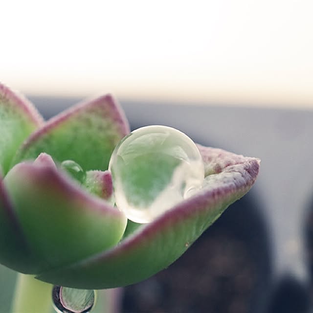 takariさんの実例写真