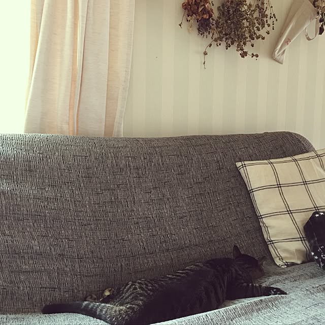 konnakanjiさんの実例写真