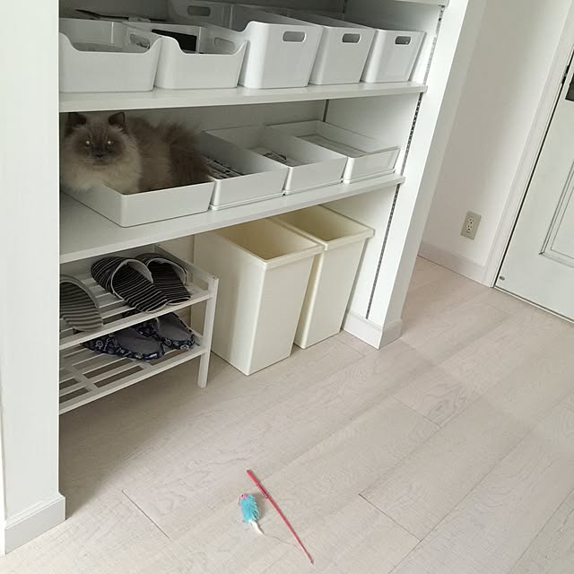 yuchiさんの実例写真