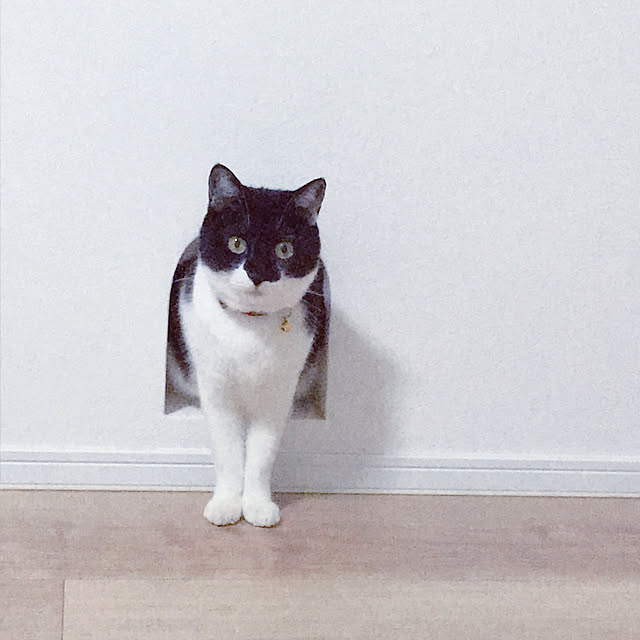 Yさんの実例写真