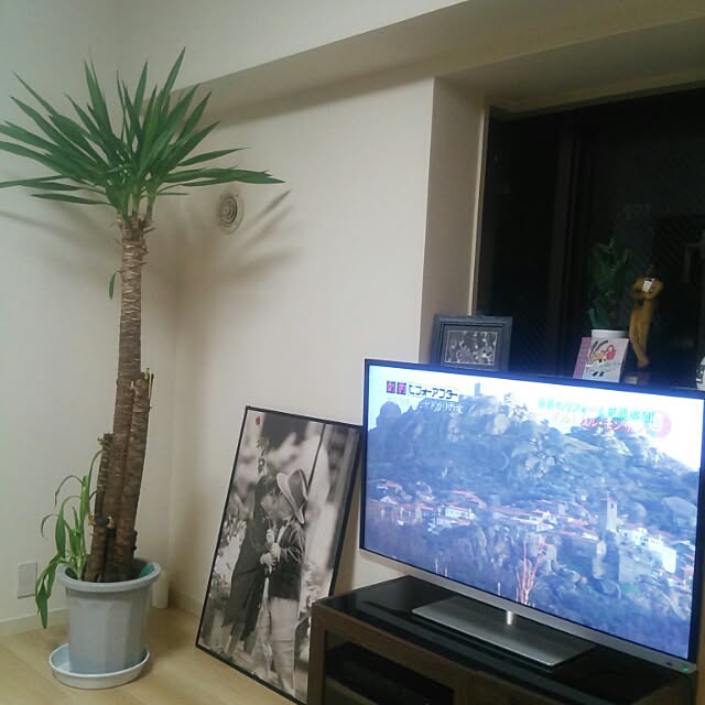 noguchiken0102さんの実例写真