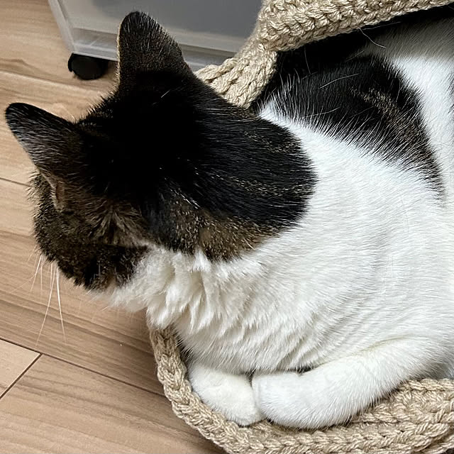 hemukoさんの部屋