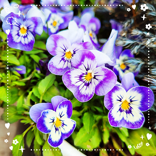 mimi828さんの実例写真