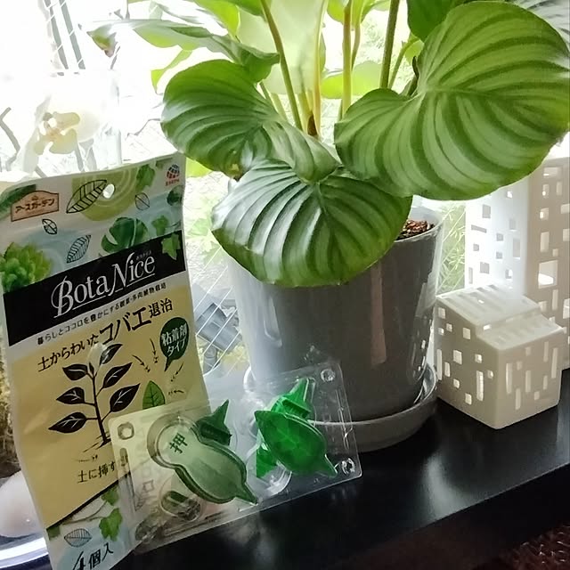jinさんの部屋