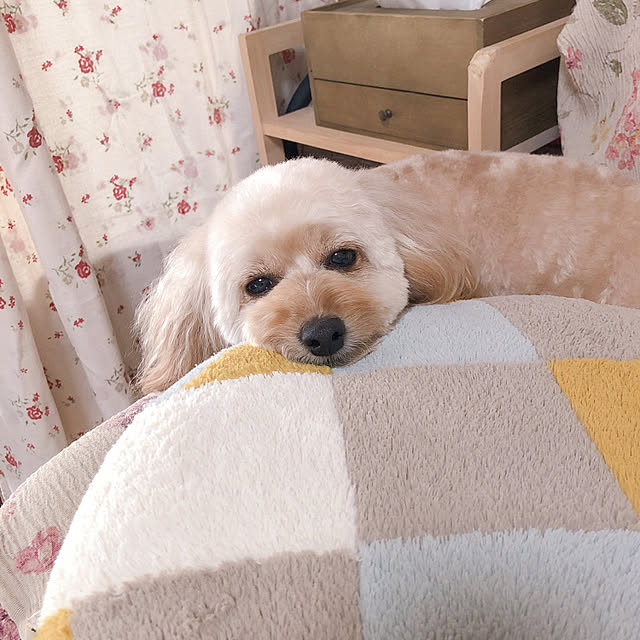 hama1219さんの実例写真