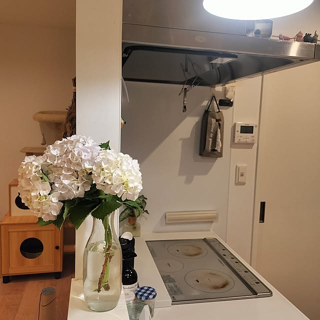 ayumiさんの部屋