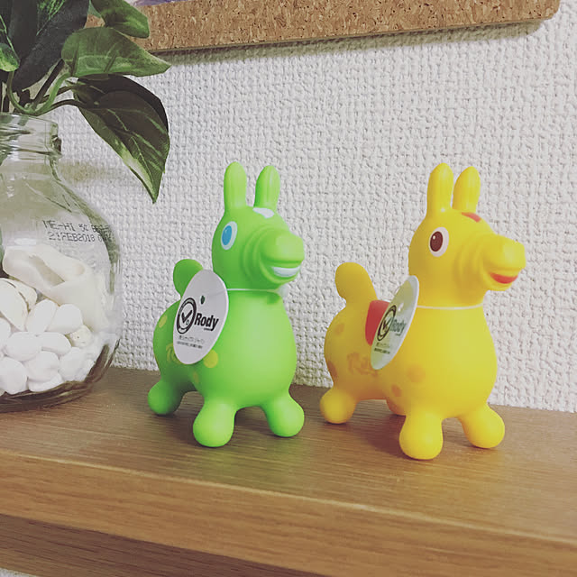 applelieingさんの実例写真