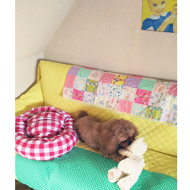 cherrycherryさんの実例写真