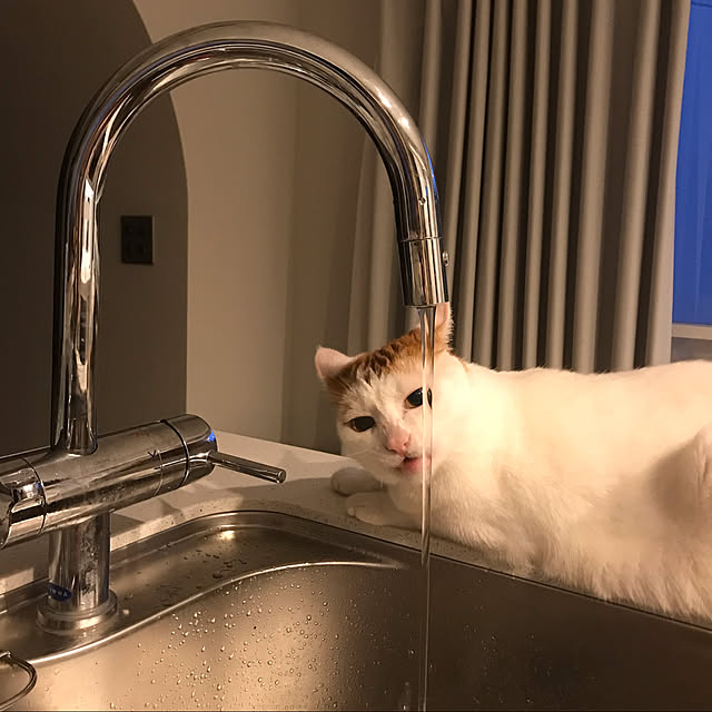 makiさんの実例写真