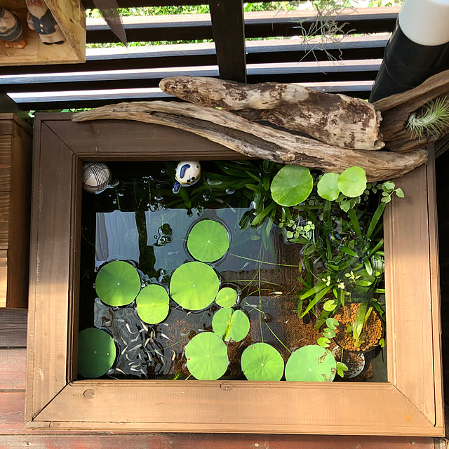 kyoko1124koさんの実例写真