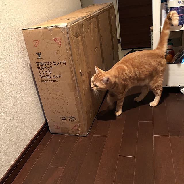 Atelier.mさんの実例写真