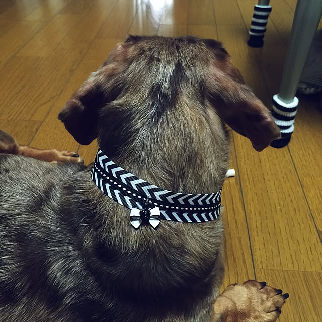 M.E.Gさんの実例写真