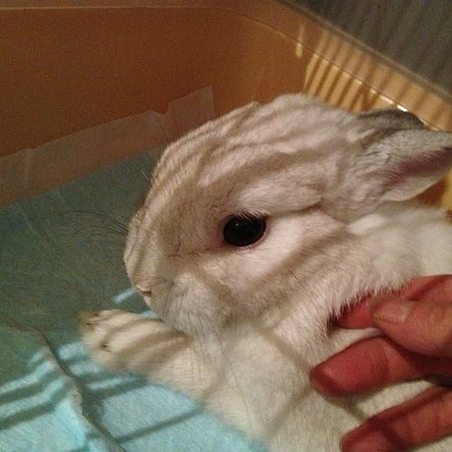 kimuさんの実例写真