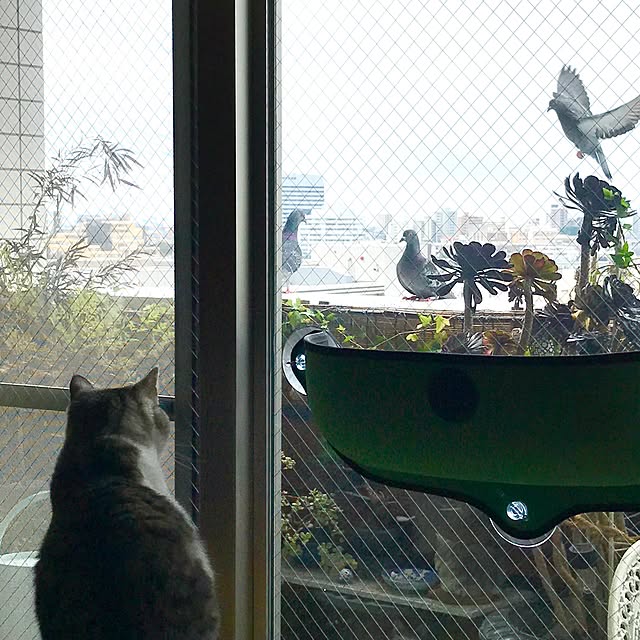 emmyyさんの実例写真