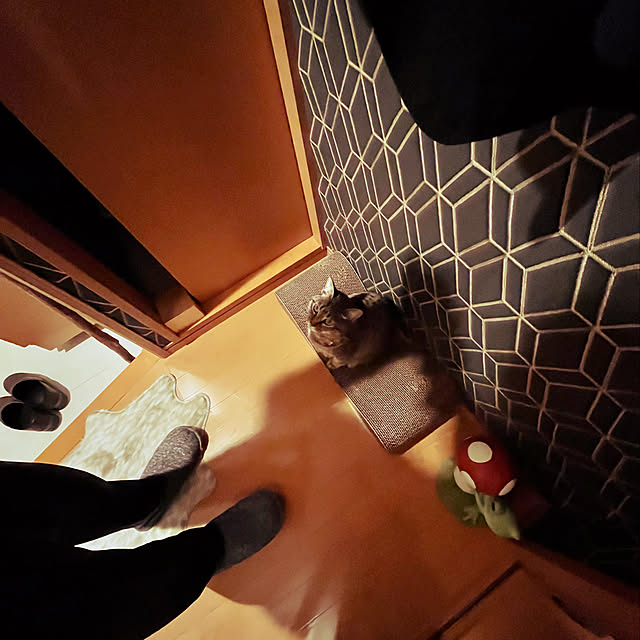 Mさんの実例写真