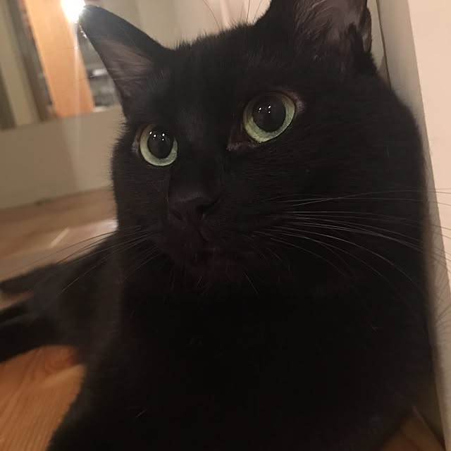 pitaさんの実例写真