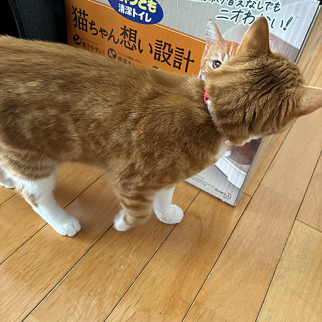 madeleineさんの部屋