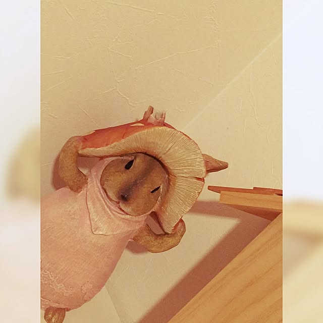 beanzさんの実例写真