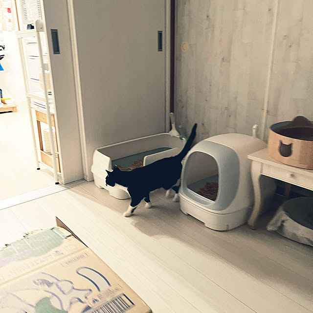chatnoirさんの実例写真