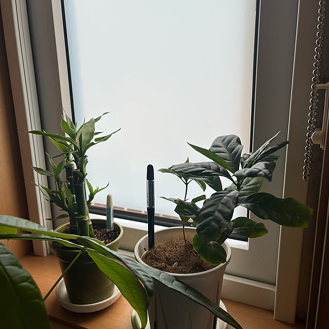 mogumoguさんの部屋