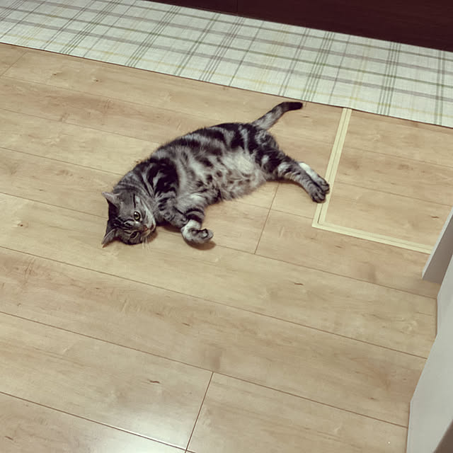 richanさんの部屋
