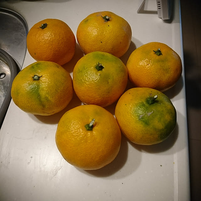 tomo3さんの実例写真